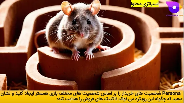 بازی همستر؛ استراتژی محتوا؛ پرسونا