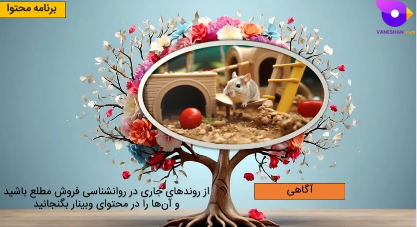 بازی همستر؛ برنامه محتوا؛ آگاهی