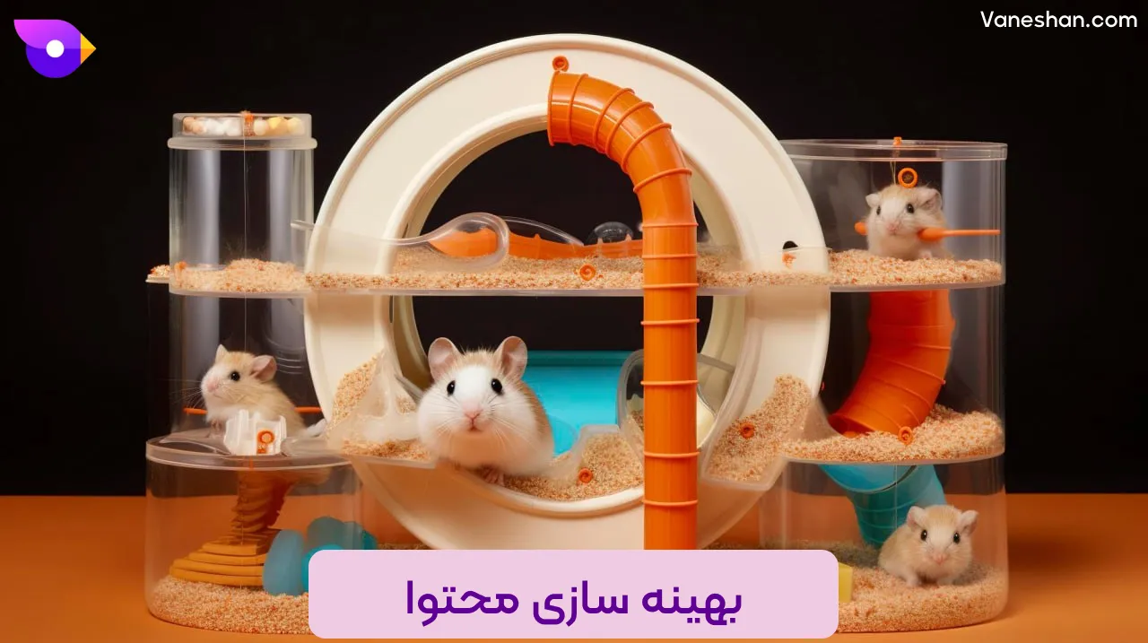 بهینه سازی محتوا (استراتژی فروش)