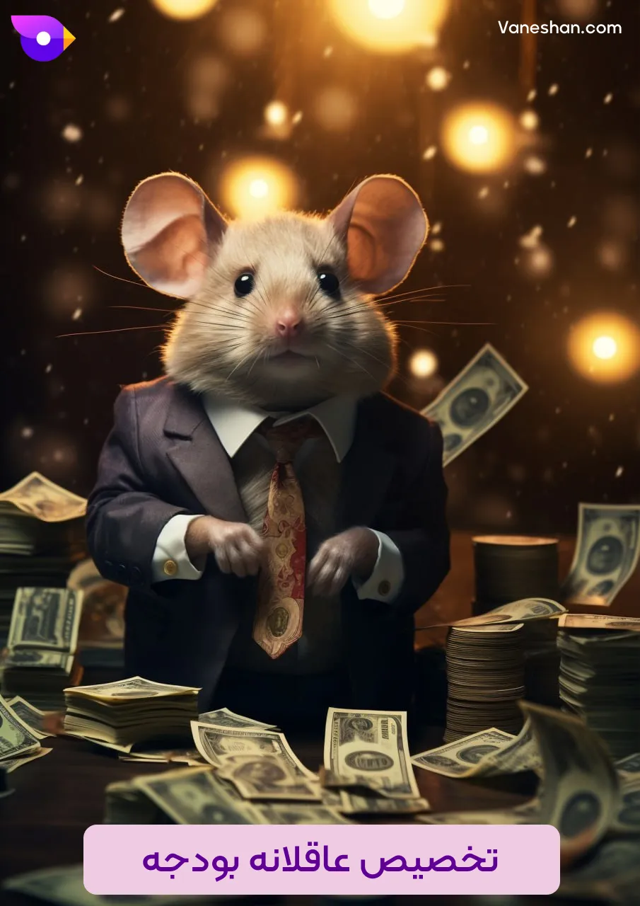 تخصیص عاقلانه بودجه (استراتژی فروش انقلابی)